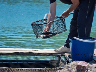 四大海域进入伏季休渔期 休渔期还能吃到海鲜吗？
