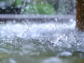 南方入汛来最强降雨来袭！请收好这份防御小贴士