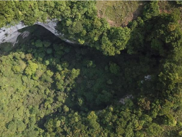 “神鹰天坑”里发现2亿年前海洋生物化石