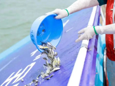 广东汕头举行全国“放鱼日”同步增殖放流活动，约6600万尾鱼虾游入海域