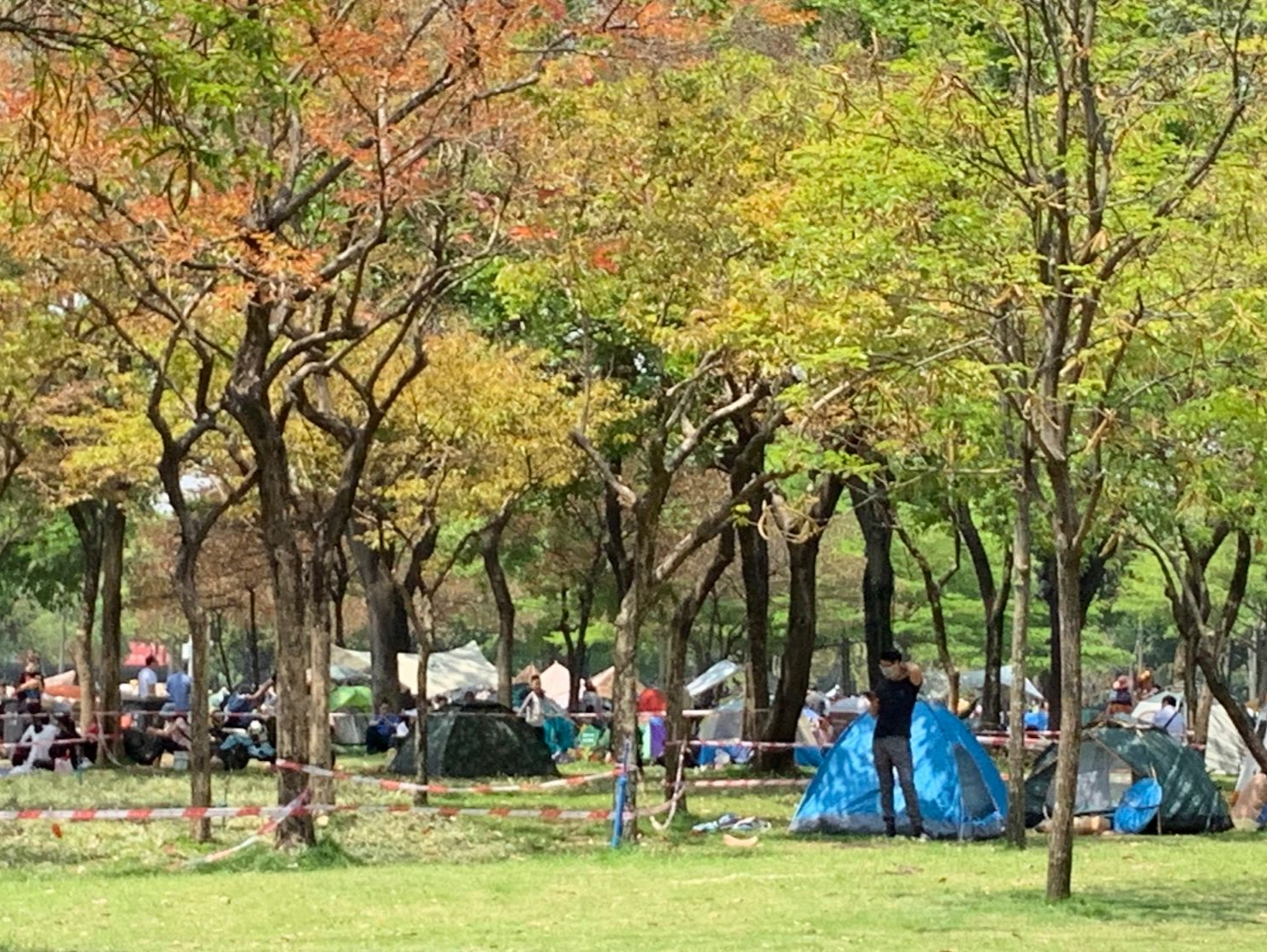 广州拟规定：公园草坪搭帐篷需预约，10人以上聚会需报备