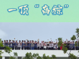 一顶高中（粽）好事花生
