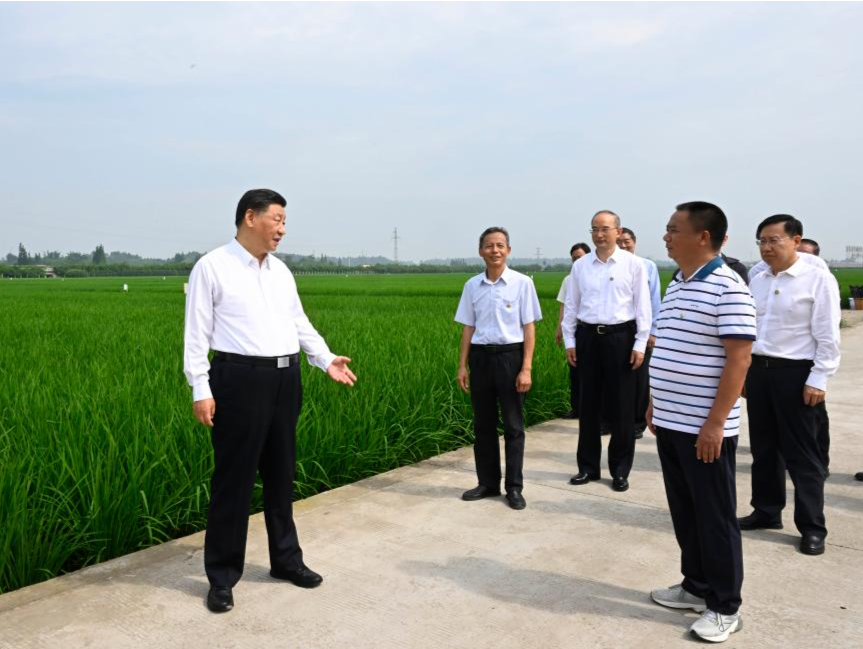 第一观察｜“三夏”大忙时节 总书记这样强调粮食安全 