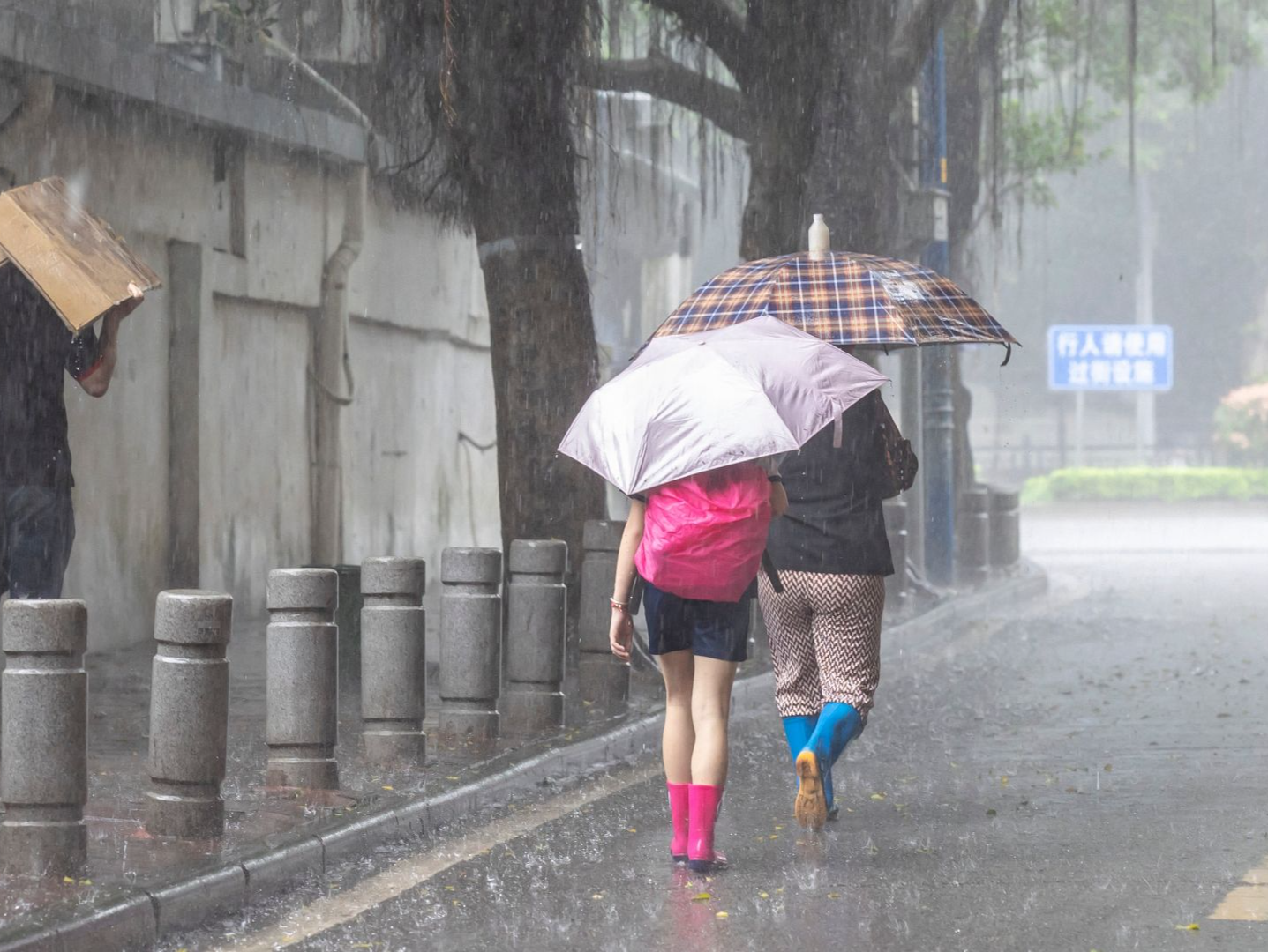 中考期间广州降雨频密，有8级左右短时大风和强雷电