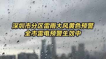 深圳市分区雷雨大风黄色预警+全市雷电预警生效中