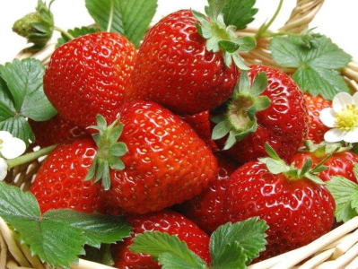 海关总署：今年以来中国未进口美国新鲜草莓