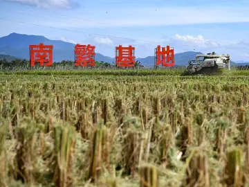 琼州潮涌展宏图——沿着总书记的足迹之海南篇