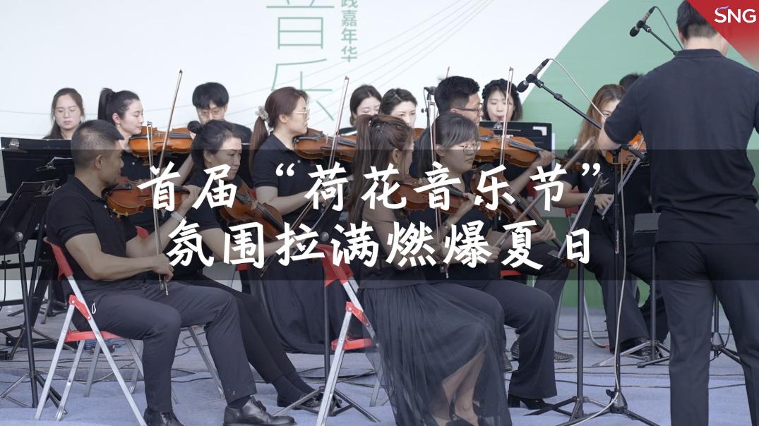 来洪湖公园边赏荷花边听音乐会