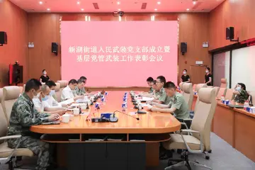 高标准打造基层人民武装规范化建设新样板——新湖街道召开人民武装党支部成立暨基层党管武装工作表彰会议  