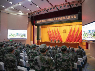 深圳宝安松岗召开2022年度民兵组织整顿点验大会