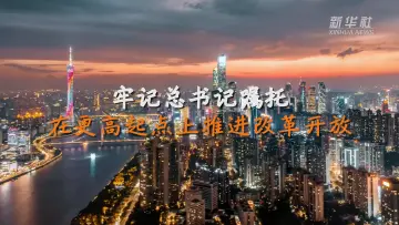 沿着总书记的足迹·广东篇｜在更高起点上推进改革开放