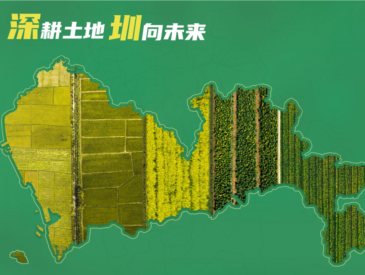 深圳市规划和自然资源局第32个全国土地日宣传周启动