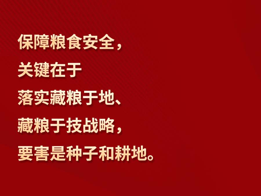 【大国“粮”策】习言道 | “靠中国种子来保障中国粮食安全”