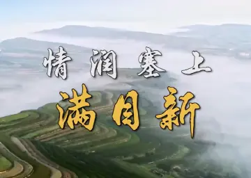 情润塞上满目新——沿着总书记的足迹之宁夏篇