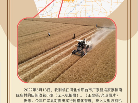 【大国“粮”策】创意海报丨全国小麦收获逾九成 又到夏粮好“丰景” 