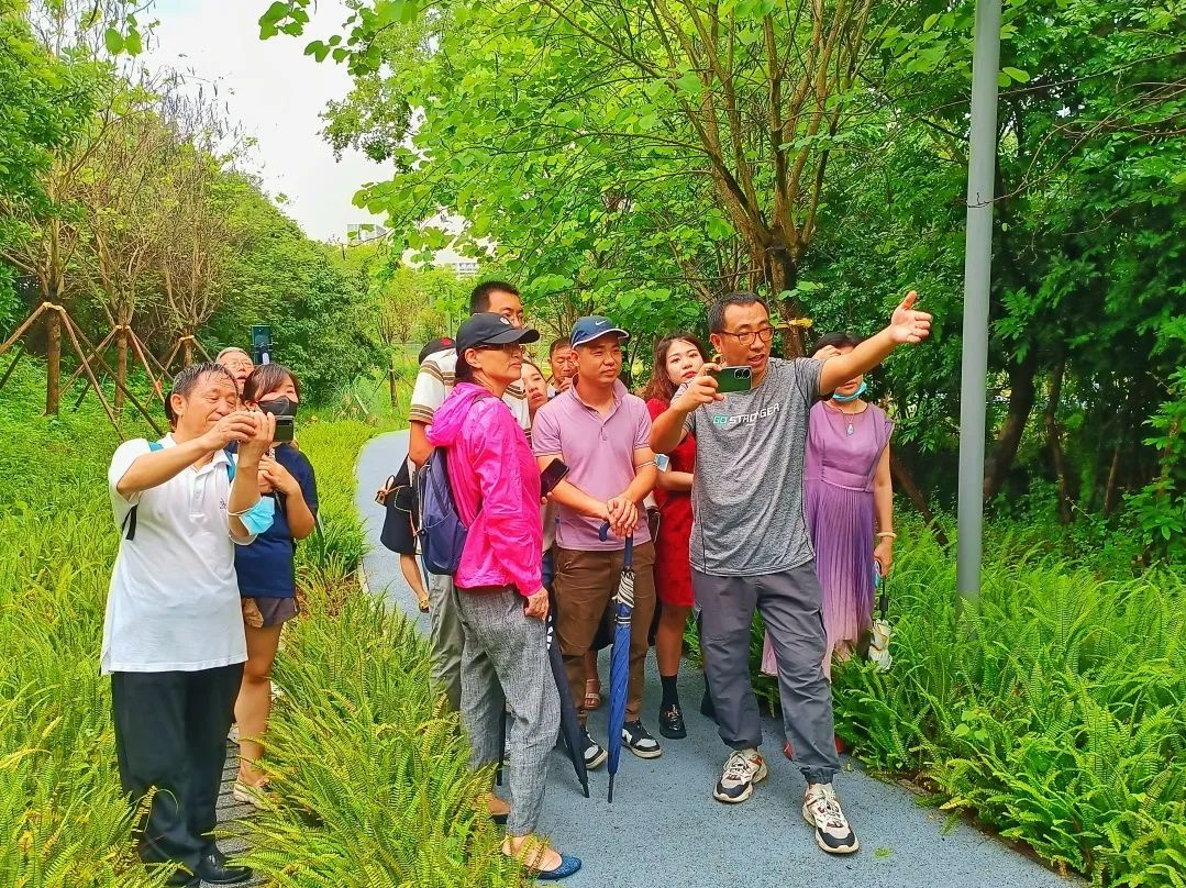 用手机定格坪山美好时光