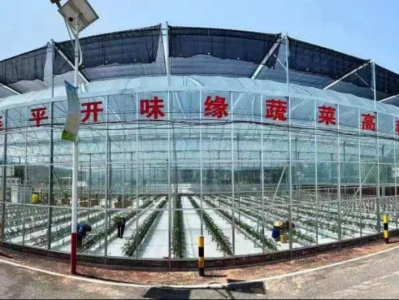 助力乡村振兴 河源市连平县首家现代农业蔬菜高科技示范园对外开放
