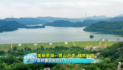 罗湖之美藏不住啦！一起来看TA的美丽秘诀  | 新罗湖再出发⑨