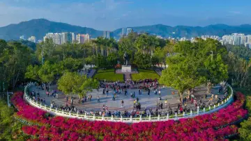 践行嘱托十年间丨在更高起点上推进改革开放，续写更多“春天的故事”