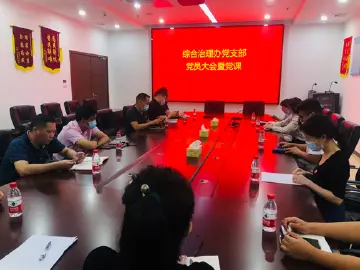马田街道综合治理办党支部专题学习光明区一届四次党代会精神