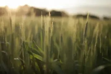 沿着总书记的足迹·河南篇 谱写新时代中原更加出彩的绚丽篇章