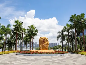 大湾区 大未来 | 服务再升级！进出口货物可直接在前海“登机”