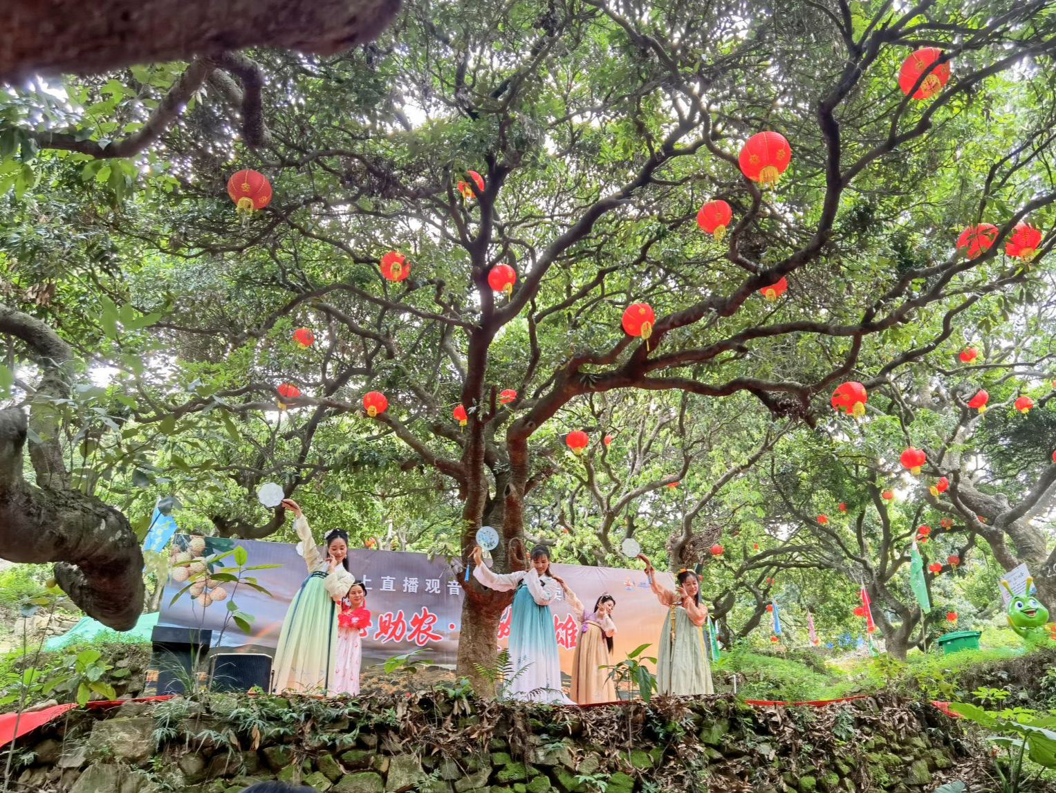 18项活动等你来体验！东莞樟木头荔枝旅游文化节6月19开幕