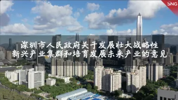 深圳市人民政府关于发展壮大战略性新兴产业集群和培育发展未来产业的意见