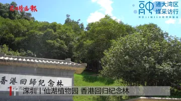 这里是深圳 | 一片纪念林如何播撒深港青少年友谊的种子？