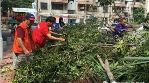 身边党员|普通党员平凡事 温暖社区邻里情