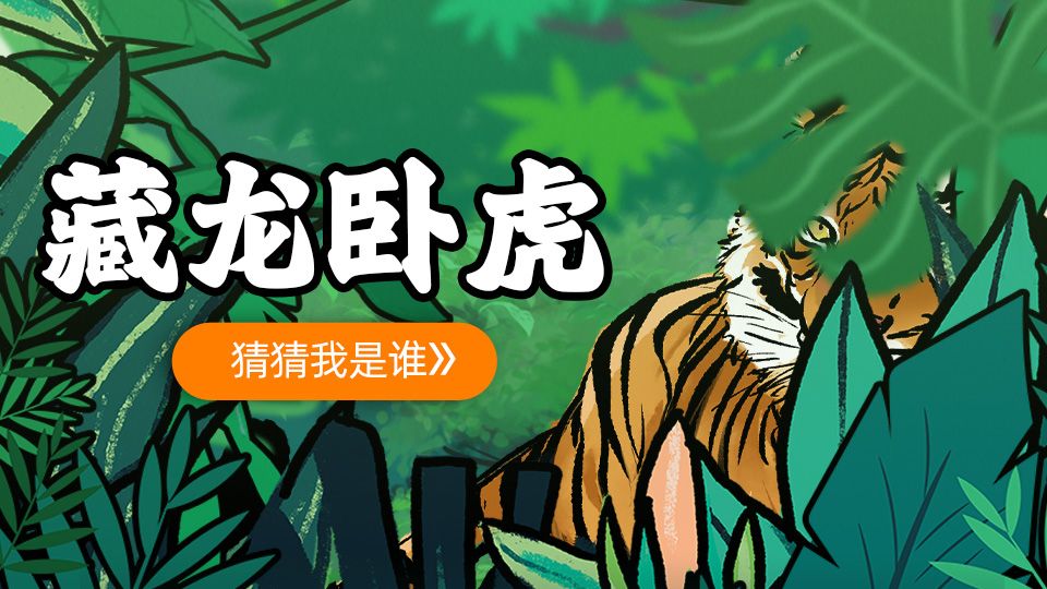 今天，这里“藏龙卧虎”