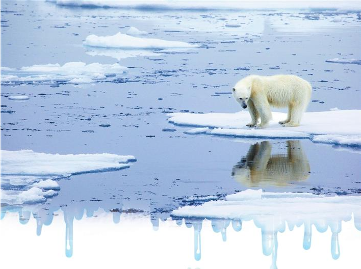 气温高达38℃创纪录 海冰40年减少40%  北极“上火”了 后果很严重