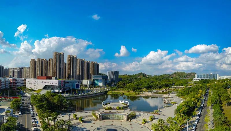 有事@坪山 | 把“烦心事”办成“顺心事”