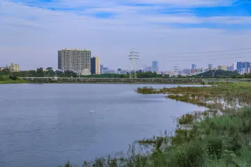 凤凰街道全面推行“河(湖)长制”促进水环境长治久清
