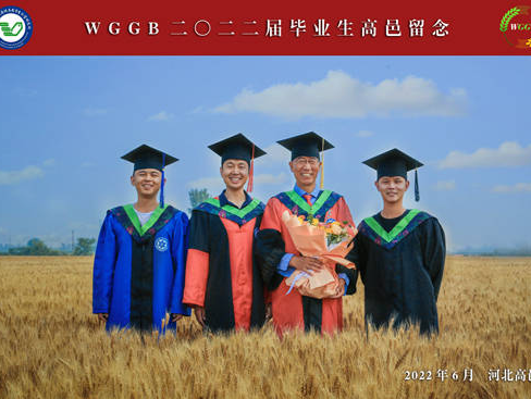 麦田毕业照走红背后：缺席毕业典礼，不缺席科研现场
