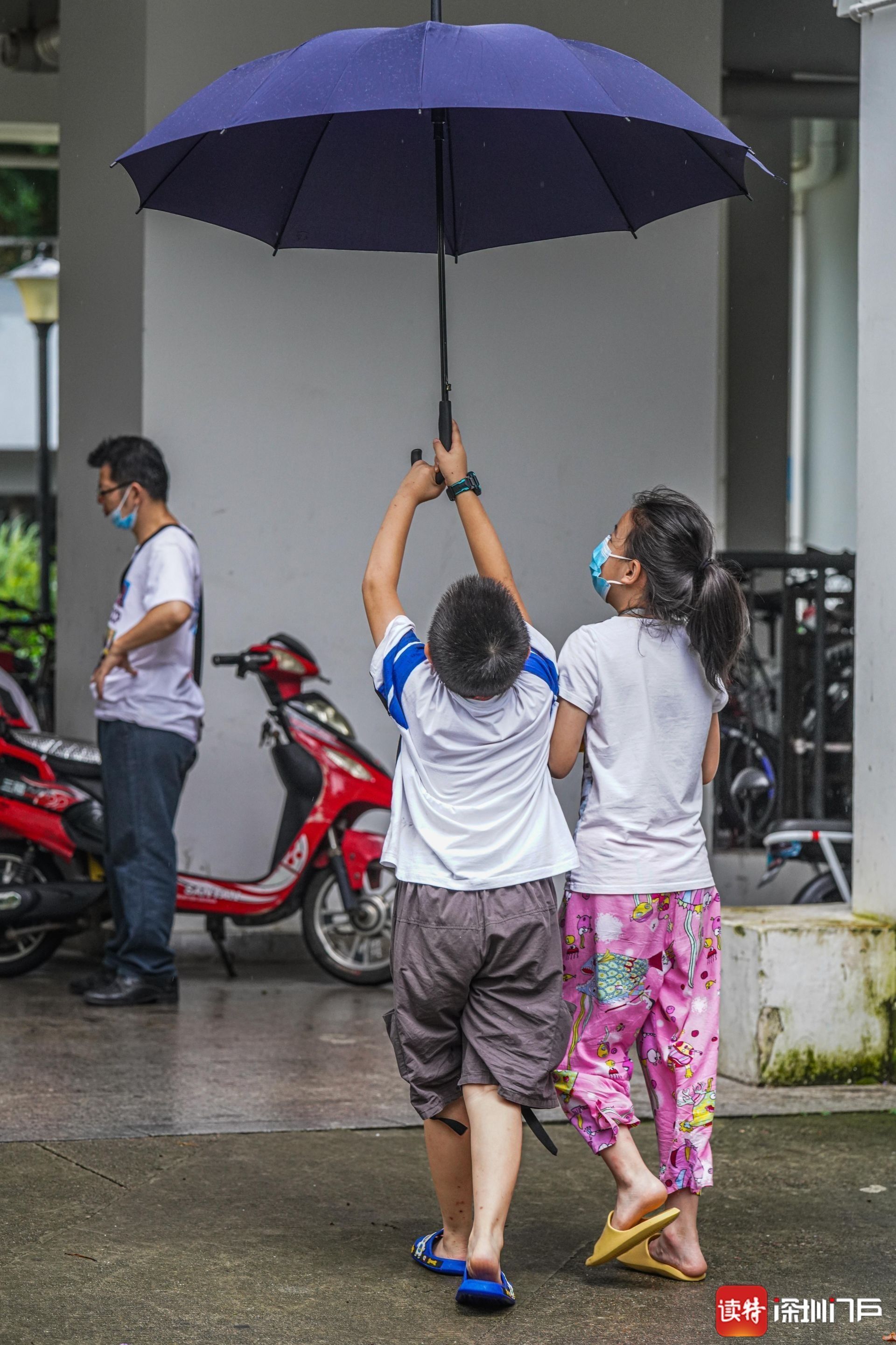 我的镜头下记录了雨中高举雨伞的兄妹俩 7月2日