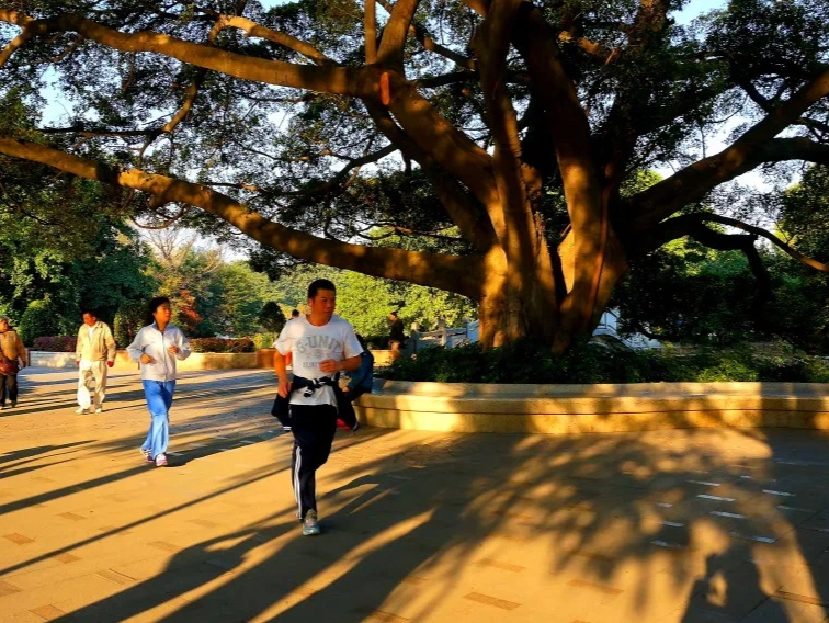 夏日炎炎 何以消暑？广州街坊解锁清凉一夏的N种方式