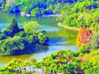 芦汀乡渡故人去 曲港汇芳留鹏城 记孟兆祯参与仙湖植物园建设二三事