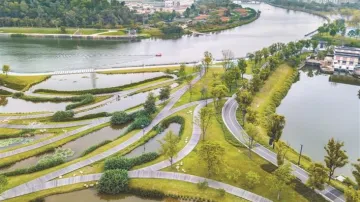 广东茅洲河治理观察：治出秀水美景 撬动产业升级