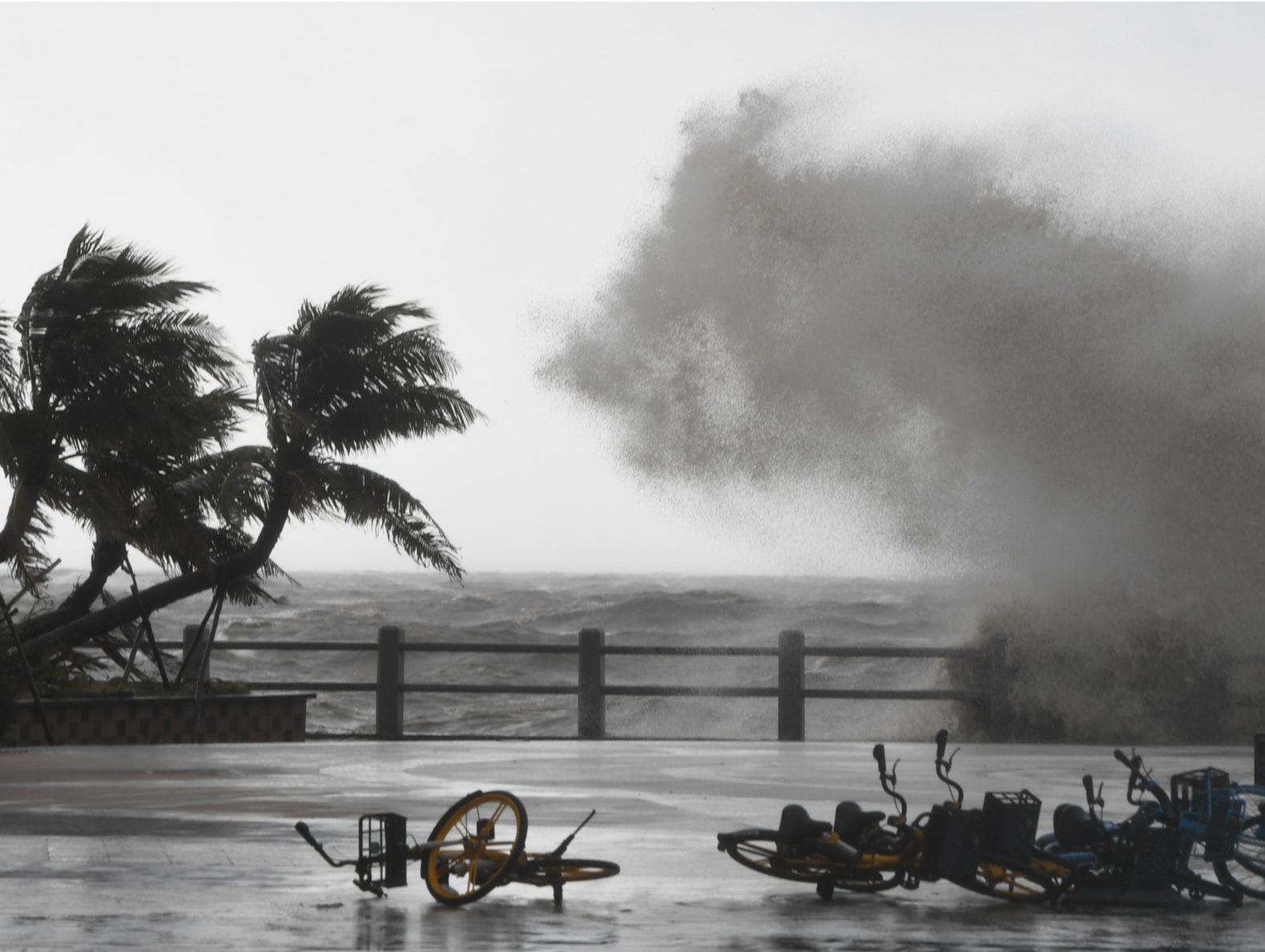  “暹芭”或成今年首个登陆广东的台风，全省启动防风Ⅲ级应急响应