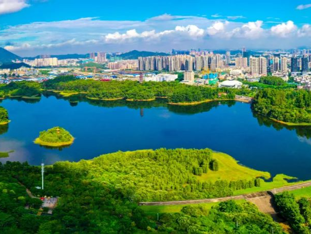 “家门口就有山有水有一切”，坪山城市规划提升居民幸福感