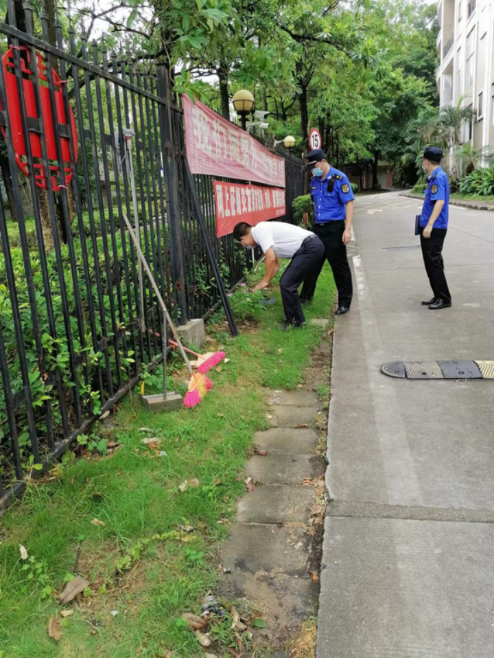 文明实践 | 绿化带成了“垃圾带”？平湖街道开展集中整治