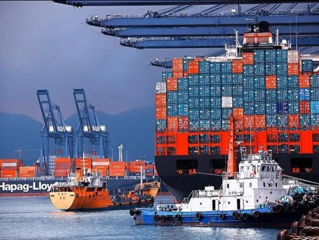 深圳上半年海运出口水果21.3万吨，居全国首位