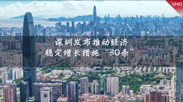 深圳印发推动经济稳定增长30条