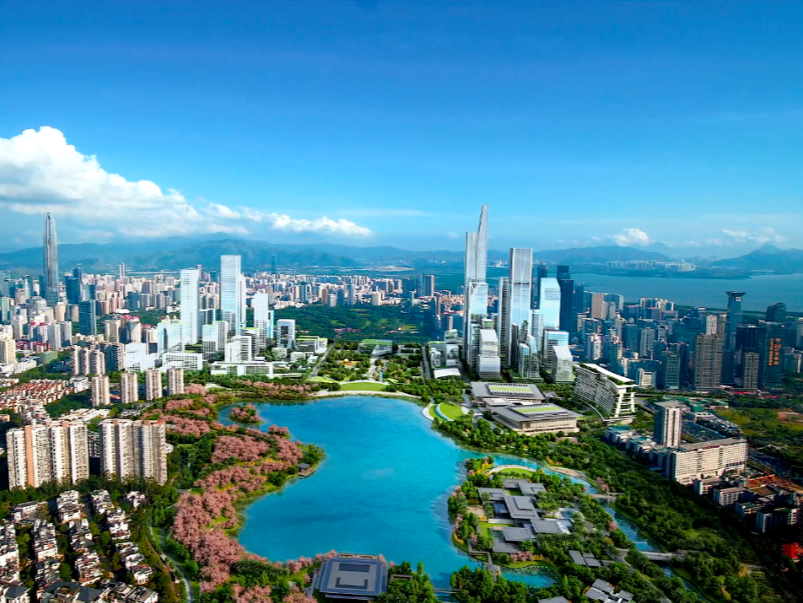 深圳市长和政协委员面对面“商量”，如何打造国际创投中心？