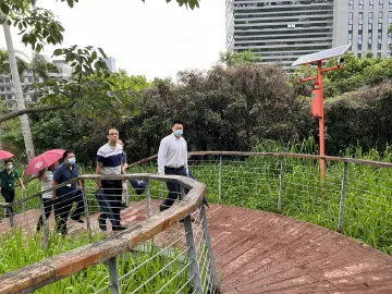 马田街道落实“林长制”开展林地巡查督查工作