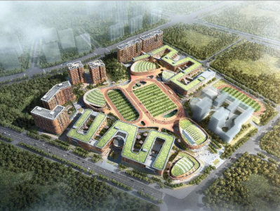 深圳大规模学校建设成效初显 近三年累计新开办公办普高30所