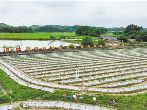 江门市谋划打造区域平衡发展综合试验区