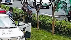 深网观察 第672期丨生命绿色通道彰显城市文明也凸显治理能力