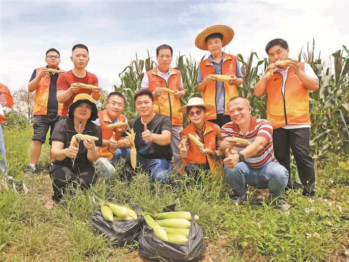  Documentary report of the first anniversary work of the Shenzhen counterpart assistance working group in Shantou Chenghai District: gathering Shenzhen's assistance forces to promote the revitalization of Chenghai villages